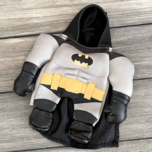 DC Other - small dog batman halloween costume